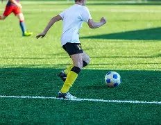 张本智和加,入丰田,跻身世界,半岛,BanDao,半岛官网,半岛体育官网,半岛体育下载,半岛APP