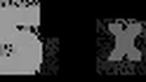 田中碧在英超广受好评，将思考如何发挥所长